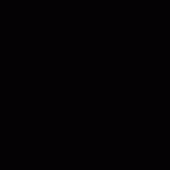 STARDUST Flyby of Comet Wild 2