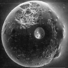 A Spherule from the Earth’s Moon