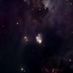 McNeil’s Nebula