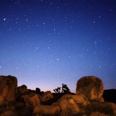 Comets Bradfield and LINEAR Rising