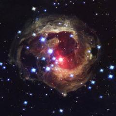 V838 Mon: Light Echo Update