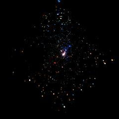 X Ray Stars in the Orion Nebula
