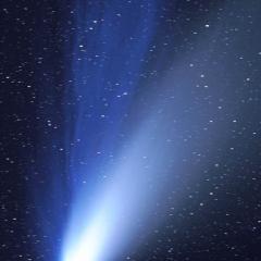 The Dust and Ion Tails of Comet Hale-Bopp