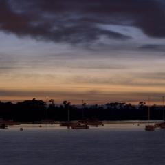 Venus Returns to the Evening Sky