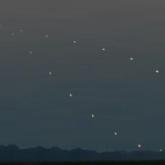 Analemma of the Moon
