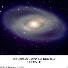 Spiral Galaxy NGC 1350