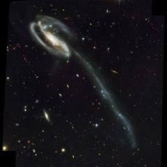 Arp 188 and the Tadpoles Tidal Tail