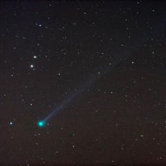Unexpected Comet Pojmanski Now Visible