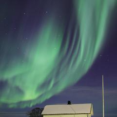 Green and Black Auroras Over Norway
