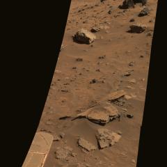 Strangers on Mars