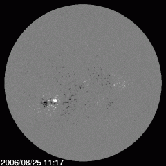 A Backward Sunspot and the New Solar Cycle