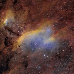 IC 4628: The Prawn Nebula