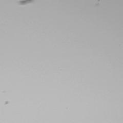 Help Search for Interstellar Dust