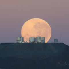 Paranal Moonset