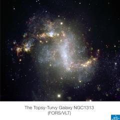 Unusual Starburst Galaxy NGC 1313