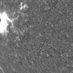 A Large Tsunami Shock Wave on the Sun
