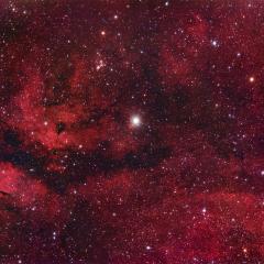 Central Cygnus