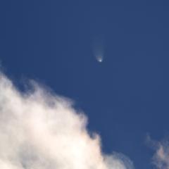 McNaught’s Matinee