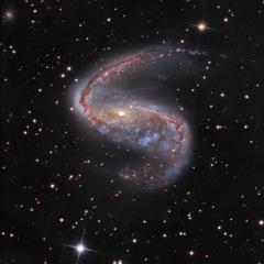 NGC 2442: Galaxy in Volans