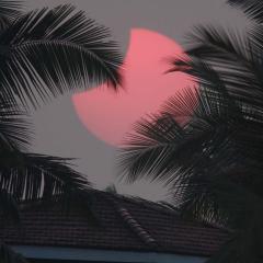 Goa Silhouettes