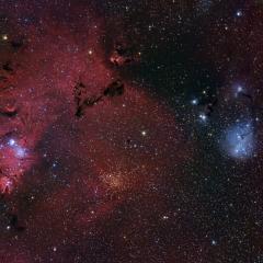 The Cone Nebula Neighborhood