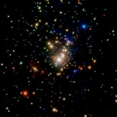 X-Ray Stars of Orion