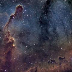 The Elephant’s Trunk in IC 1396