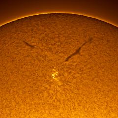 Sunspot in the Old Solar Cycle