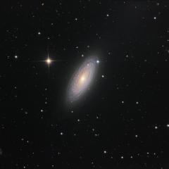 Spiral Galaxy NGC 2841