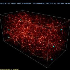 Weak Lensing Distorts the Universe