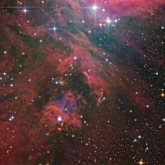South of Orion