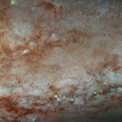 NGC 253 Close Up