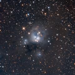 Young Suns of NGC 7129