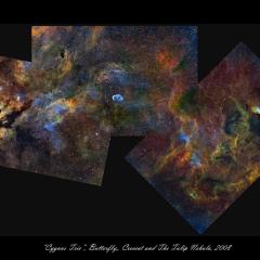 Cygnus Trio