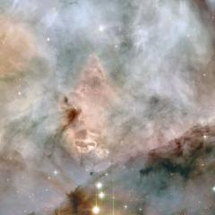 Massive Stars Resolved in the Carina Nebula