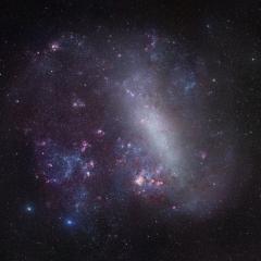 The Large Cloud of Magellan