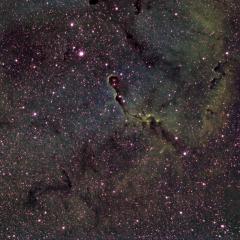 The Elephant’s Trunk in IC 1396