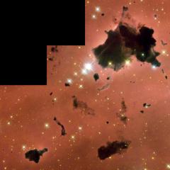 Thackeray’s Globules