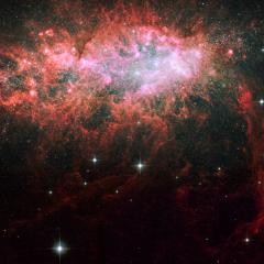 NGC 1569: Starburst in a Dwarf Irregular Galaxy