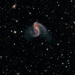 NGC 2442: Galaxy in Volans