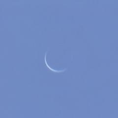 Venus Near Inferior Conjunction