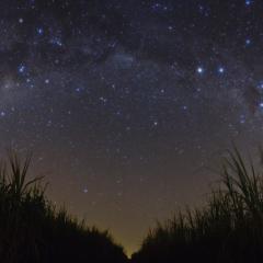 A Starry Night in Brazil