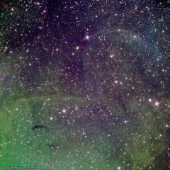 Possible Jet Blown Shells Near Microquasar Cygnus X1