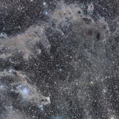 The Chameleon’s Dark Nebulae