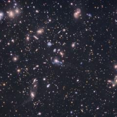The Hercules Cluster of Galaxies
