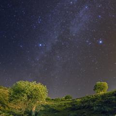 Summer Night in Astronomy Town