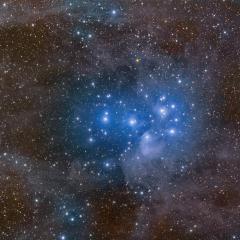 Pleiades and Stardust