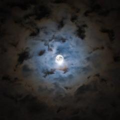 Halloween s Moon