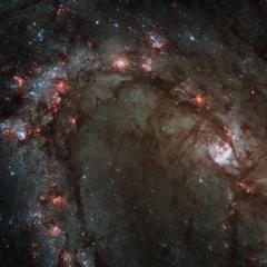 M83’s Center from Refurbished Hubble