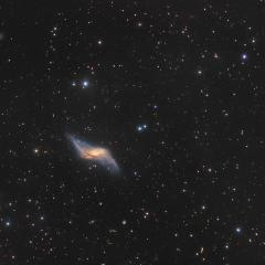 Polar Ring Galaxy NGC 660